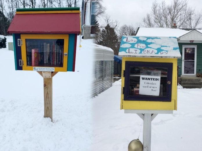 little-library-1 little libraries