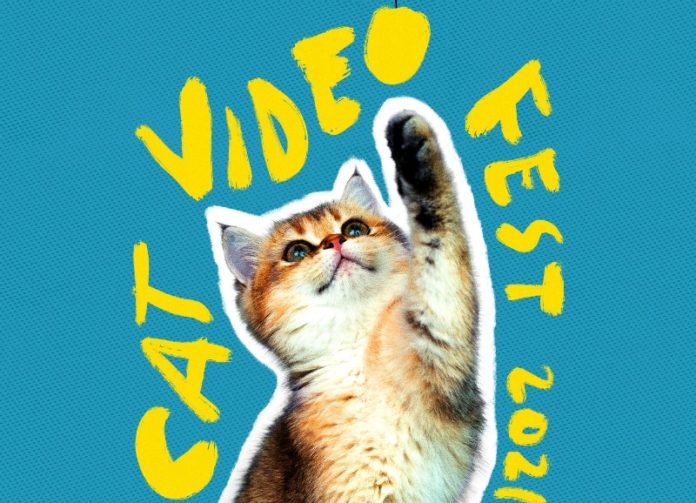 catvideofest-2021 catvideofest